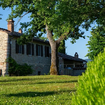 Apartment Colombaio Di Cencio Gaiole in Chianti